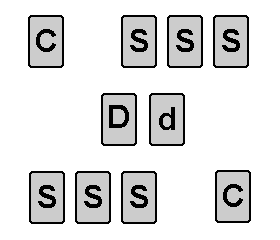 ants layout