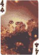 4 of clubs